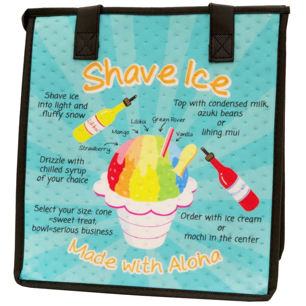 Shave Ice Anatomy Insulated Reusuable Bag